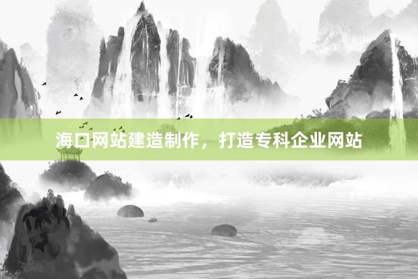 海口网站建造制作，打造专科企业网站