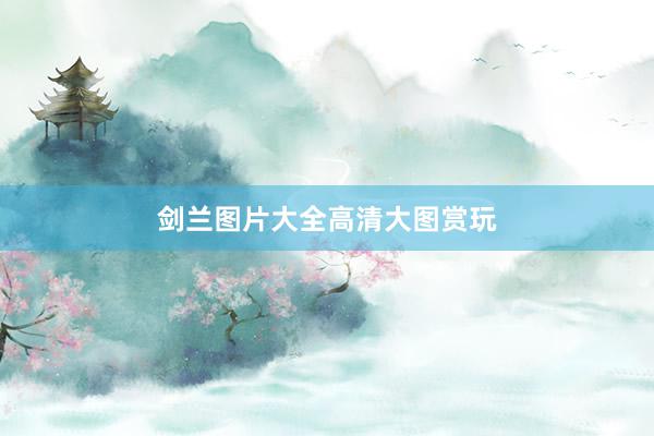 剑兰图片大全高清大图赏玩
